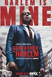 Godfather of Harlem (2019 - In Lavorazione)