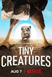 Piccole Creature (2020 - In Lavorazione)