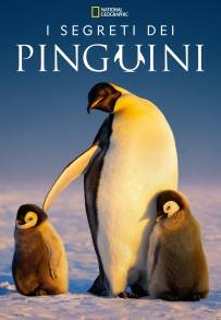 I segreti dei pinguini (2025)