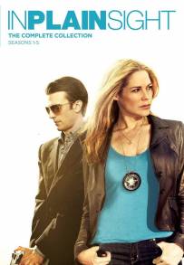 In Plain Sight - Protezione testimoni (2008)