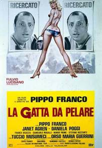 La gatta da pelare (1981)