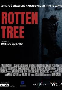 Rotten Tree (2026)