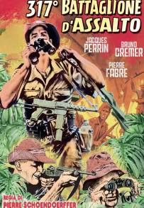 317 battaglione d'assalto (1965)
