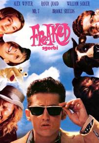 Freaked - Sgorbi (1993)