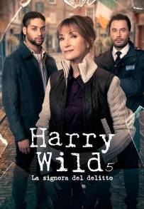 Harry Wild - La signora del delitto (2022)