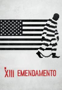 XIII emendamento (2016)