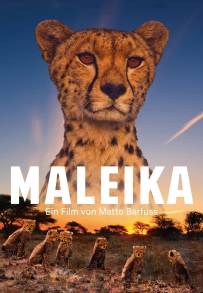 Maleika (2017)
