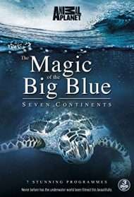 The Magic of The Big Blue [HD] (2013)