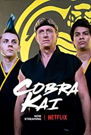 Cobra Kai [] (2018 - In Lavorazione)