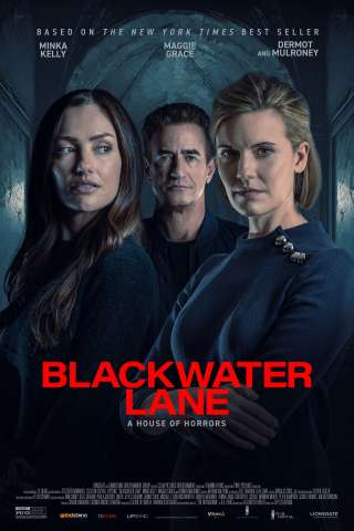 Blackwater Lane: La moglie imperfetta [HD] (2024)