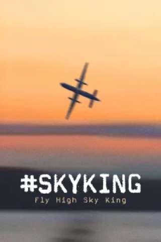#SKYKING [HD] (2026)