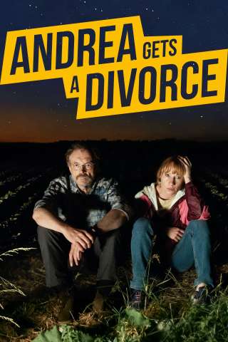 Il divorzio di Andrea [SD] (2024)