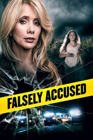 Falsely Accused [HD] (2016)