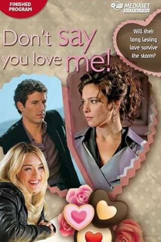 Ti amo troppo per dirtelo [SD] (2014)