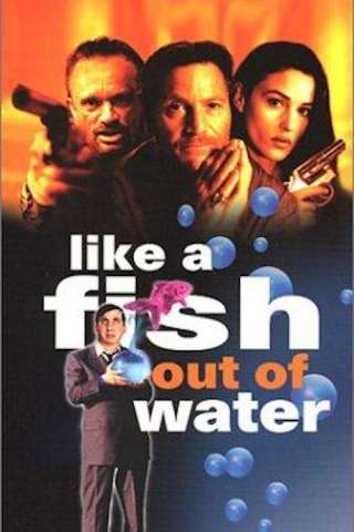 Come un pesce fuor d'acqua [HD] (1999)