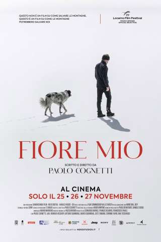 Fiore mio [HD] (2024)