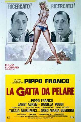 La gatta da pelare [HD] (1981)