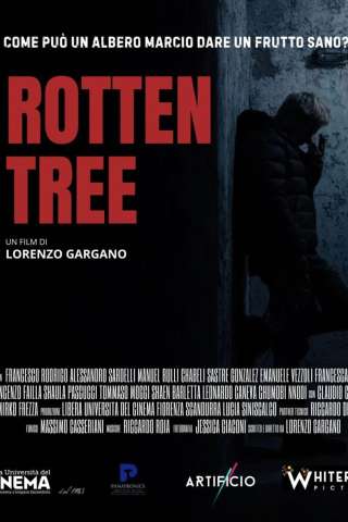 Rotten Tree [HD] (2026)
