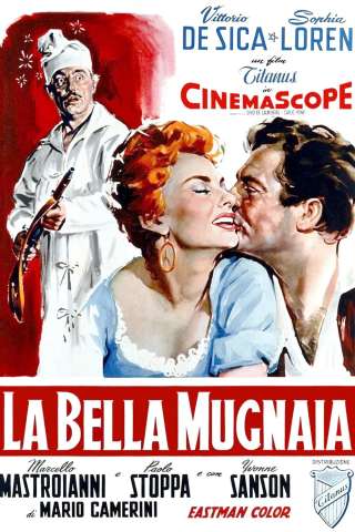 La bella mugnaia [HD] (1955)
