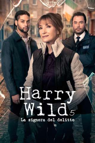 Harry Wild - La signora del delitto [HD] (2022)