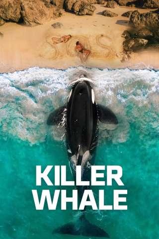 Killer Whale [HD] (2026)